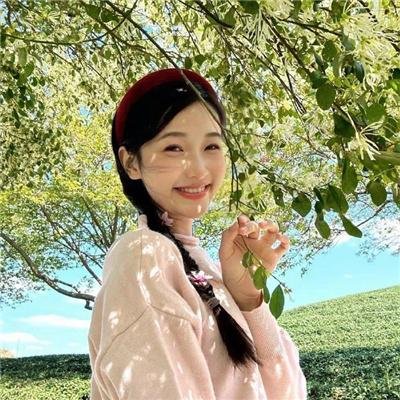 庄妃轶事
